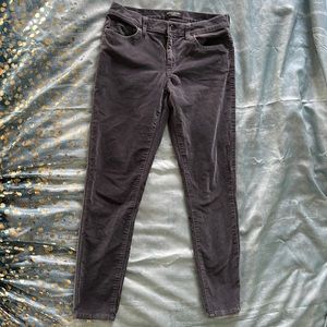 Banana Republic Grey Velvet jean/pant